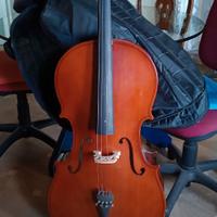 Violoncello