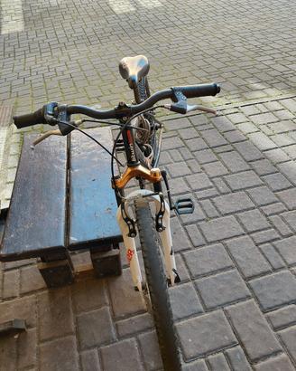 rockrider 