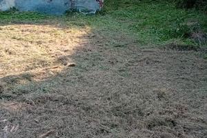 Terreno edificabile