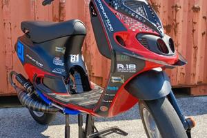 Zip sp1 100cc full 8.1 trofeo tutto nuovo