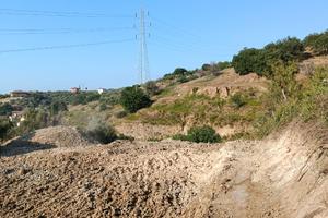 Affitt terreno agricolo