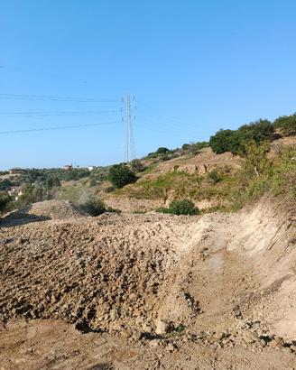 Affitt terreno agricolo