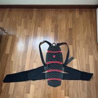 Paraschiena moto Dainese Pro-Armor Back Short – co