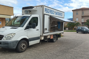 Autocarro Mercedes Sprinter