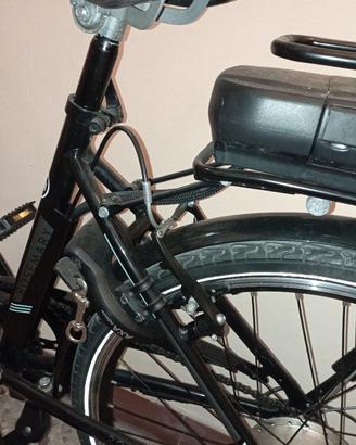 Bicicletta elettrica 
