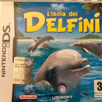 Nintendo ds gioco