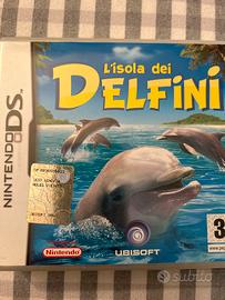 Nintendo ds gioco