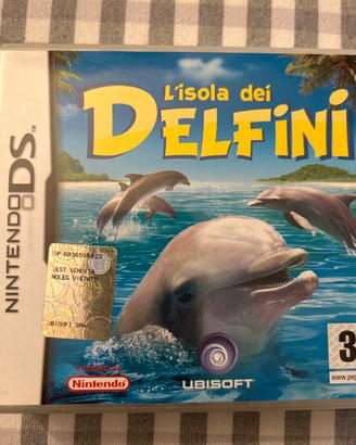 Nintendo ds gioco