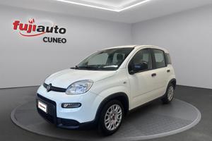 Fiat Panda 1.0 firefly hybrid City Life s&s 70cv
