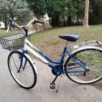bicicletta da donna 