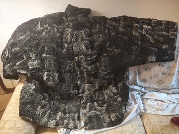 pelliccia astrakan (persiano)