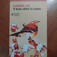 libro il buio oltre la siepe