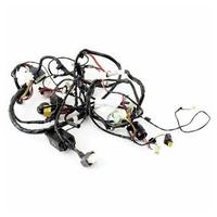 Impianto elettrico per Peugeot Jet Force 50 - 7474