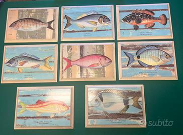 Quadretti raffiguranti pesci