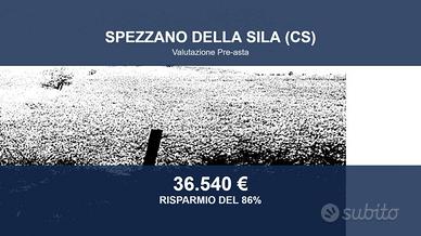 Immobile in asta di 342 m² con più di 5 locali e b