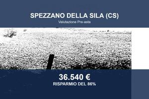 Immobile in asta di 342 m² con più di 5 locali e b