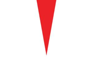 Codice referral Tesla - 1000 km gratis