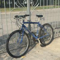 Mounatin bike perfettamente funzionante