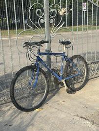 Mounatin bike perfettamente funzionante