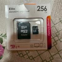 due Micro SD da 256 GB Silicon Power e Kingston