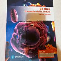 Libro