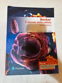 Libro