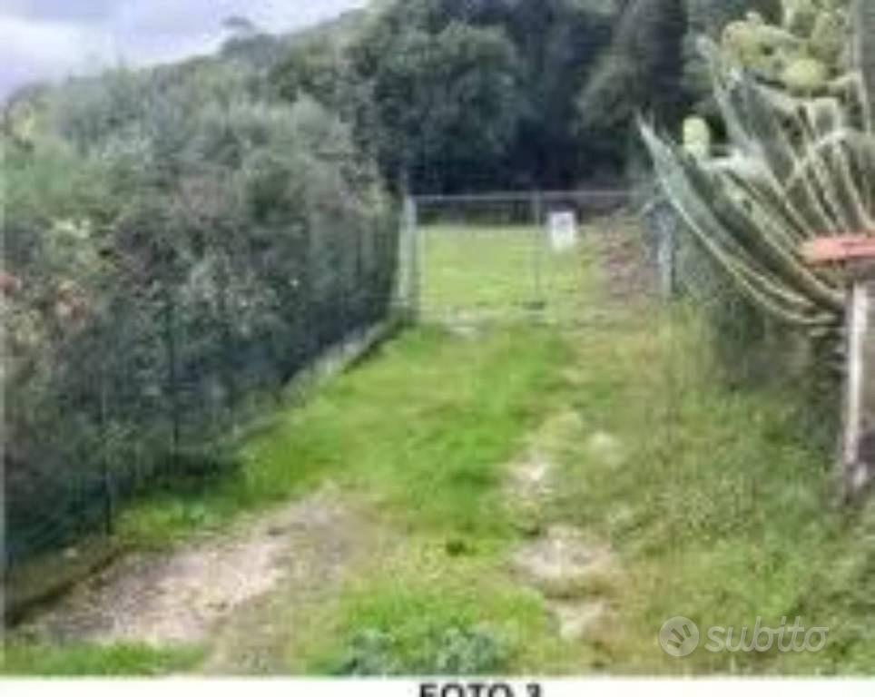 Immobile in asta di 12896 m² a Ispani - Vista 2