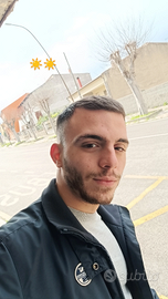 Cameriere, porta piatti, lavapiatti