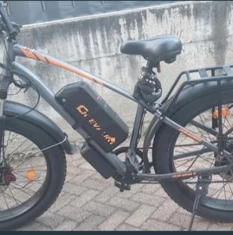 bici elettrica 