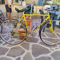 olmo sportman storica corsa 