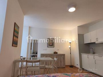 Monolocale via camerana 400 spese minime