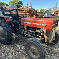 TRATTORE MASSEY FERGUSON 135