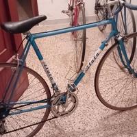 atala campione d'italia 