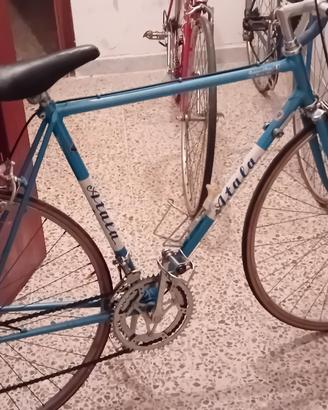 atala campione d'italia 