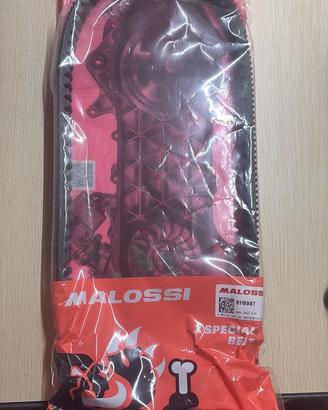 Cinghia Malossi X Belt Sh125/150 2020/2026