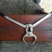 Tagliaunghie per equuni bovini