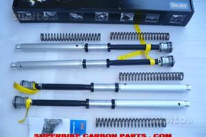 F 800 gs bmw cartuccia forcella ohlins nix 30