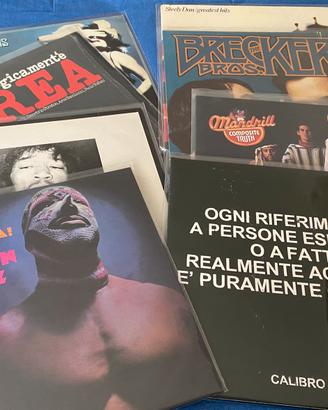 Dischi in vinile