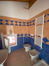 Set Sanitari Bagno (Vaso/Bidet) + lavandino NUOVI