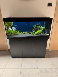 Acquario juwel rio 240 led