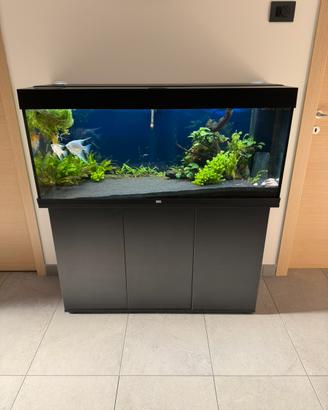 Acquario juwel rio 240 led
