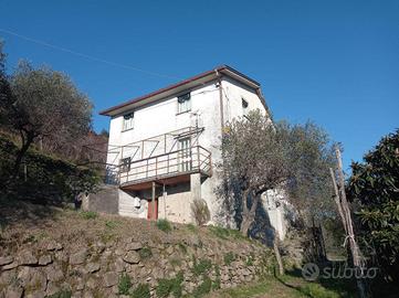 CASA INDIPENDENTE A MEZZANEGO