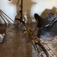 Bicicletta Mobik by Dahon