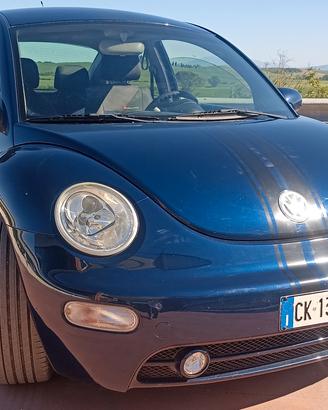 New beetle 1.6
