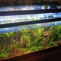 Acquario completo