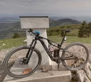 e-mtb Wilier Triestina Urta Hybrid