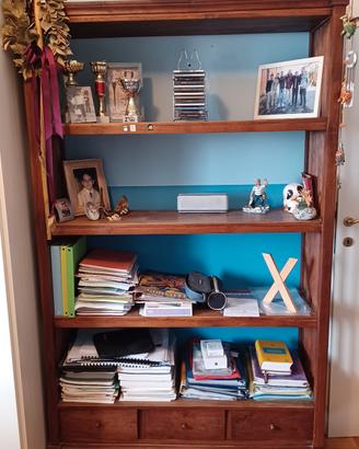 Libreria etnica in legno
