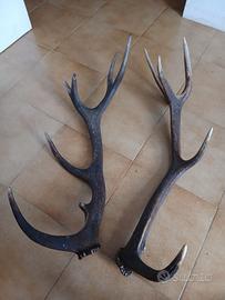 Arredamento per la casa/taverna