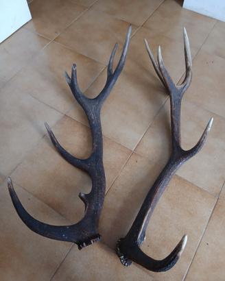 Arredamento per la casa/taverna