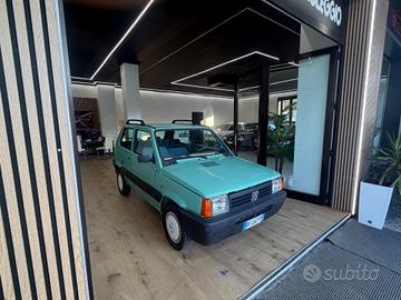 Fiat Panda 900 i.e. cat Young